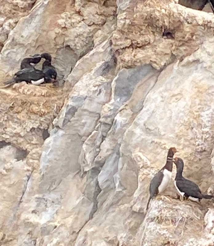 07-Ushuaia-13 07-Ushuaia-13