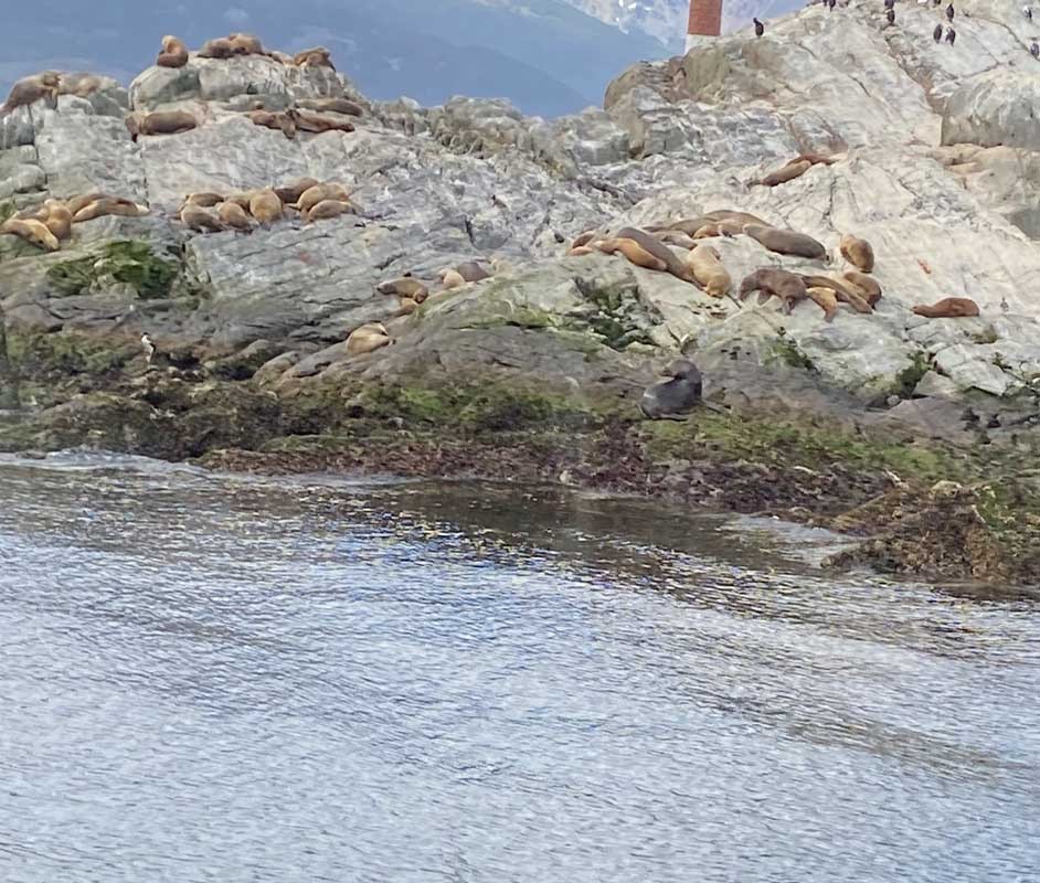 07-Ushuaia-14 07-Ushuaia-14