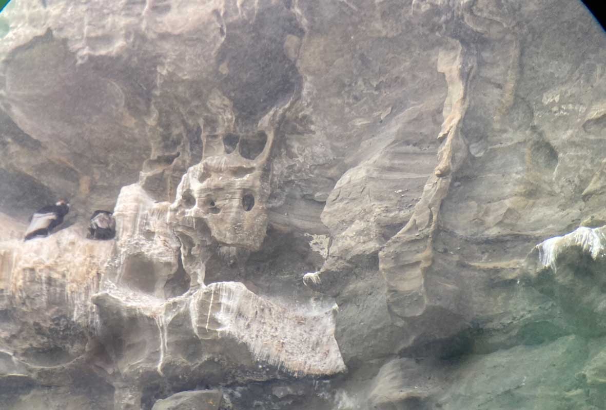 09-Kondor-03 09-Kondor-03