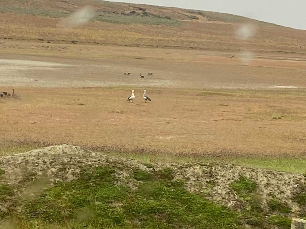 09-Pampa-02 09-Pampa-02