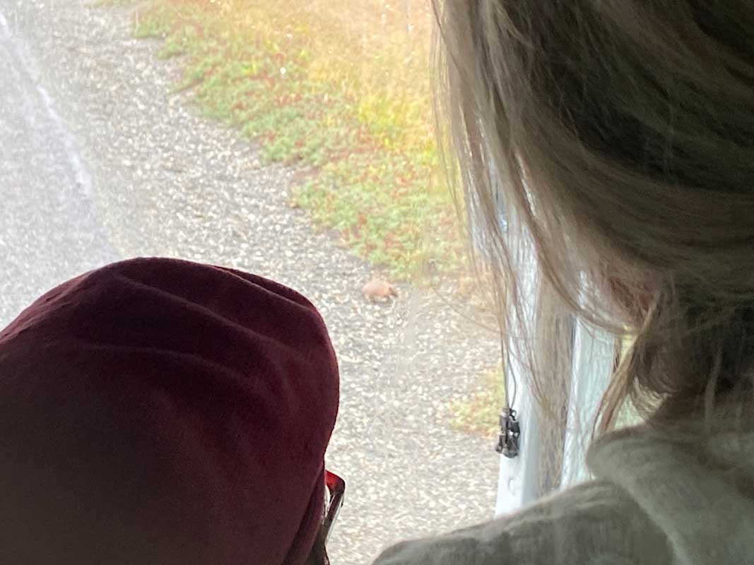 09-Pampa-04 09-Pampa-04