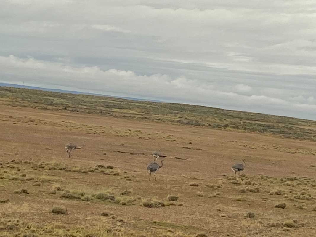 09-Pampa-07 09-Pampa-07