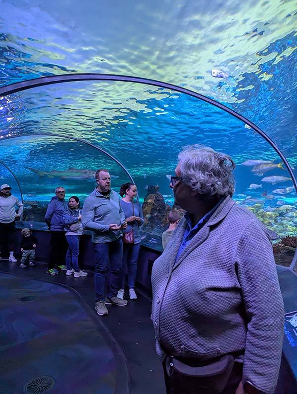 IMG_2383a-PXL_20250510_142847022 IMG_2383a-PXL_20250510_142847022