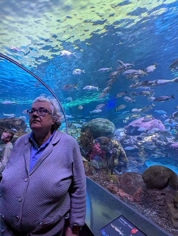 IMG_2383b-PXL_20250510_142850040 IMG_2383b-PXL_20250510_142850040