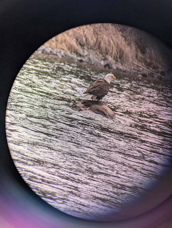 IMG_2449-PXL_20250516_164956603 IMG_2449-PXL_20250516_164956603