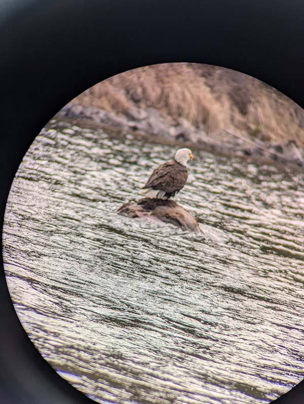 IMG_2449-PXL_20250516_165001410 IMG_2449-PXL_20250516_165001410